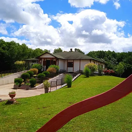 House * בייאליינה